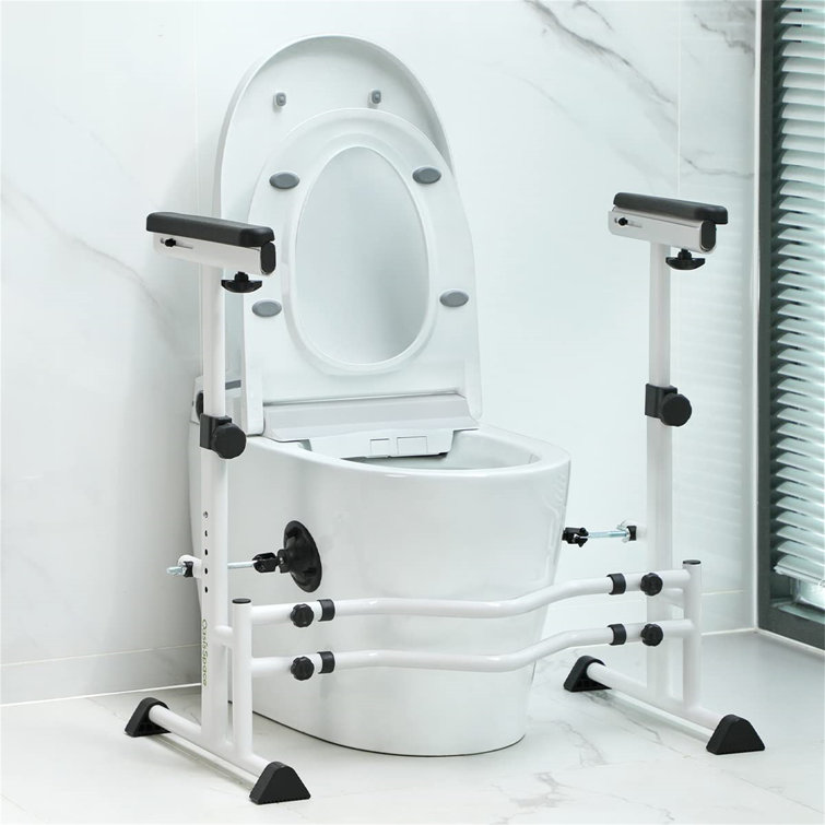 TGBY Toilet Safety Frame Wayfair